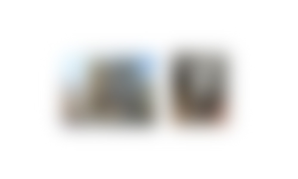 神奈川県(詳細住所非公開)の物件情報