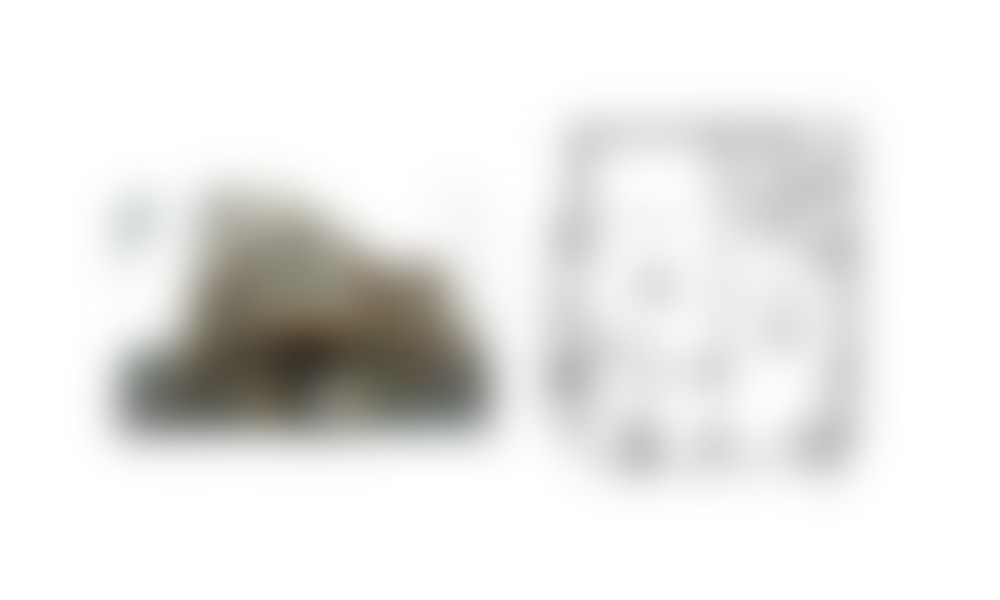 神奈川県(詳細住所非公開)の物件情報